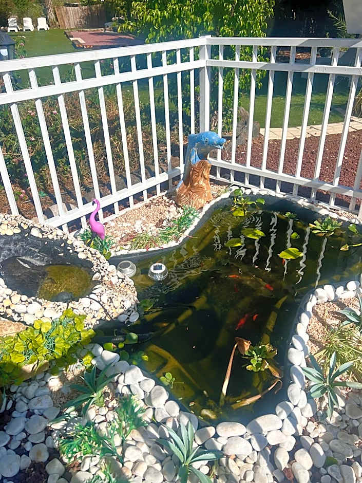 Magical in the Galilee