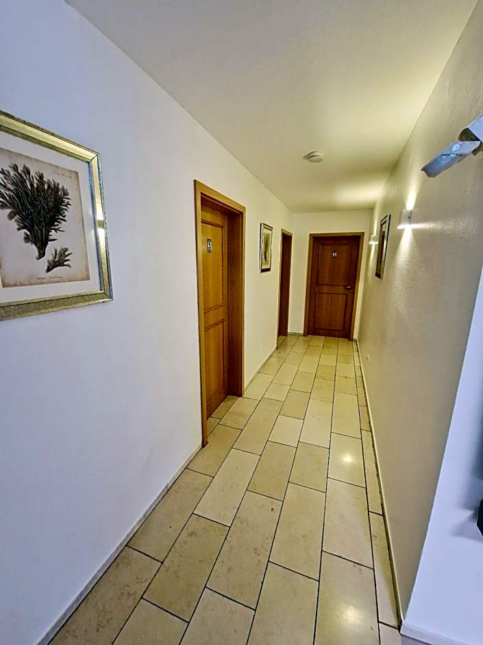Hotel Rheintal