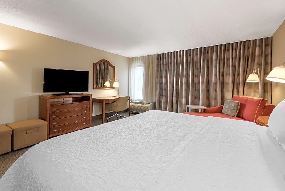 Photo 1 of 7 of Deluxe 1 King Bed with Sofabed