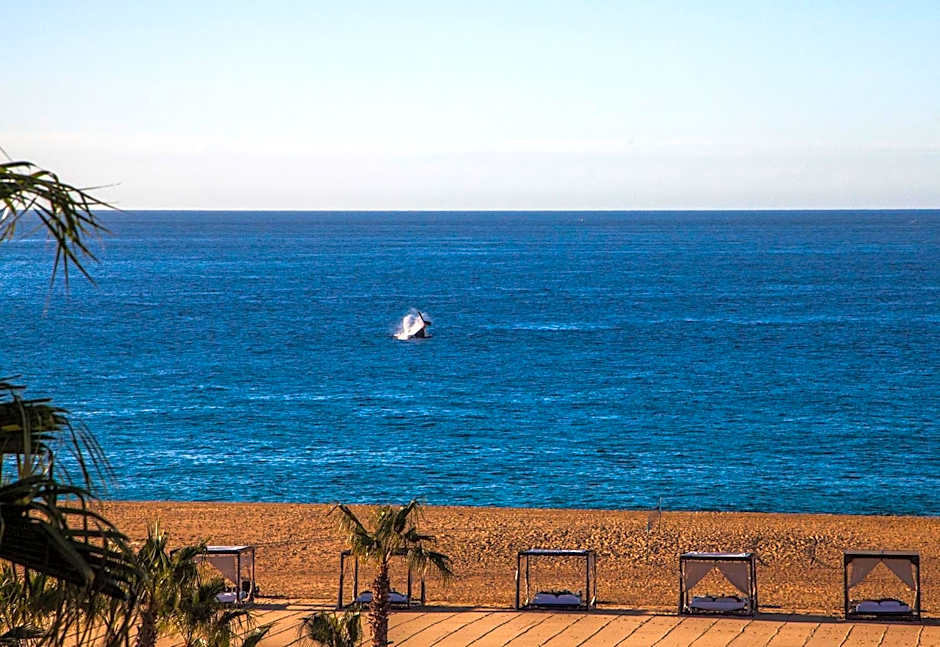 The Towers at Pueblo Bonito Pacifica - All Inclusive - Adults Only