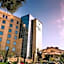 Olive Tree Amman