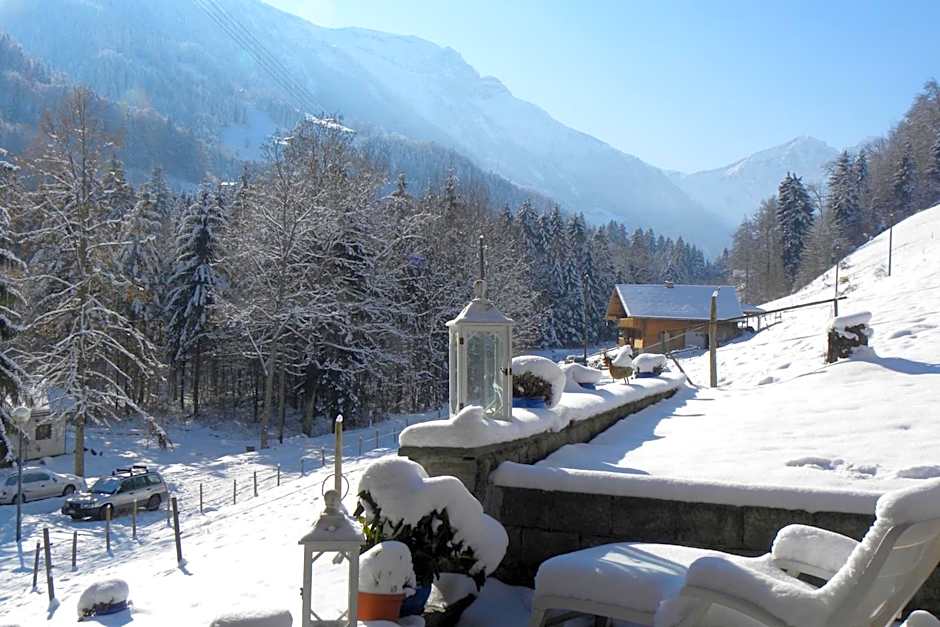 Spacious Swiss Alpine Chalet for Nature Lovers