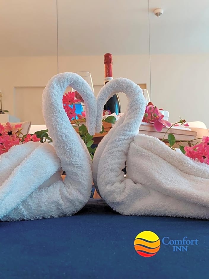 Comfort Inn ☆ Orbi City