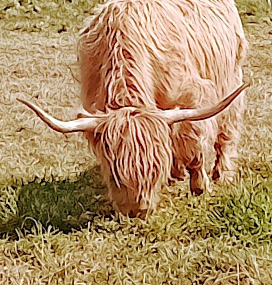 Heb Way bed and breakfast