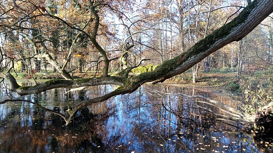 Gartenzimmer im Schloss Neuhausen