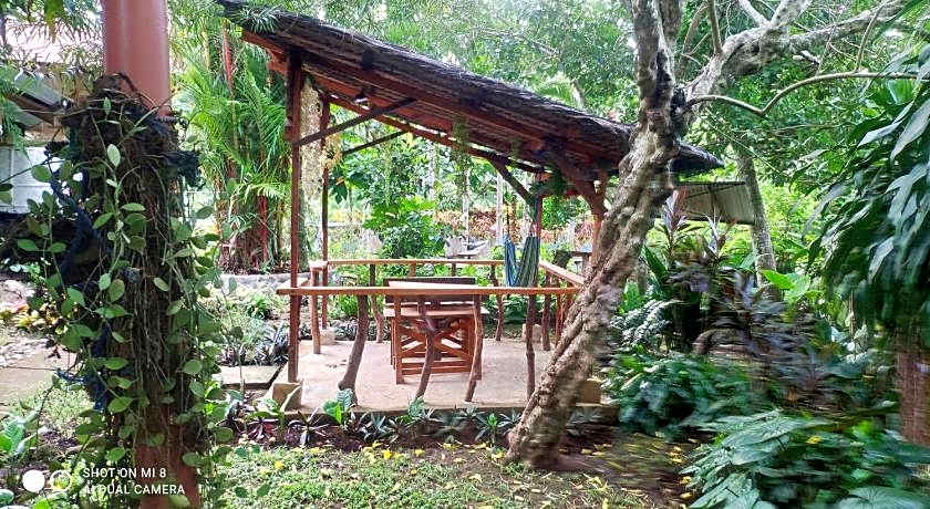 Sun House Rental