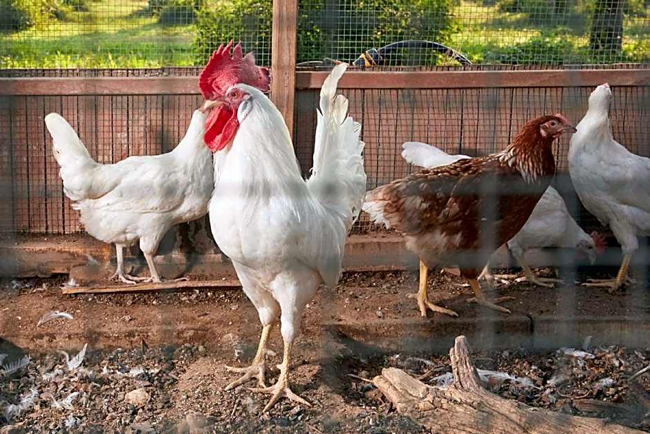 hiresicily - Casale della Pergola