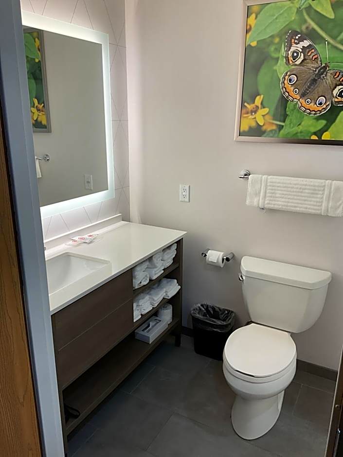 Comfort Suites Hotel and Conference Center