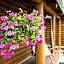 Cabin Creek Inn