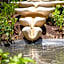 Las Brisas Merida