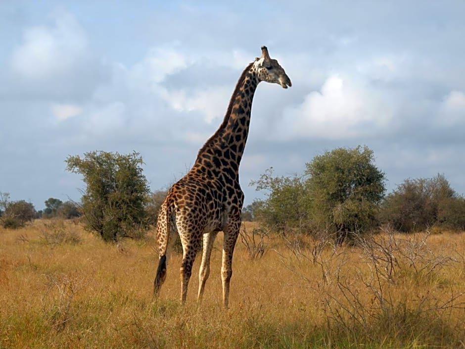 Masorini Bush Lodge & Safari Tents