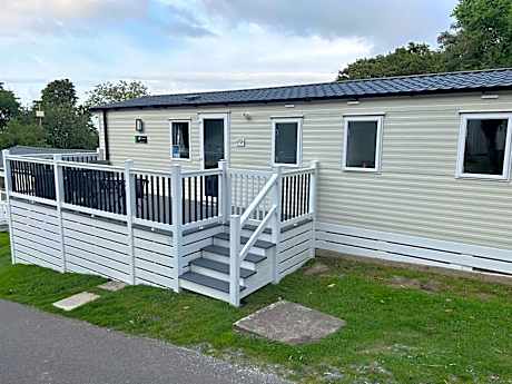 HoneyBees At Glade 17