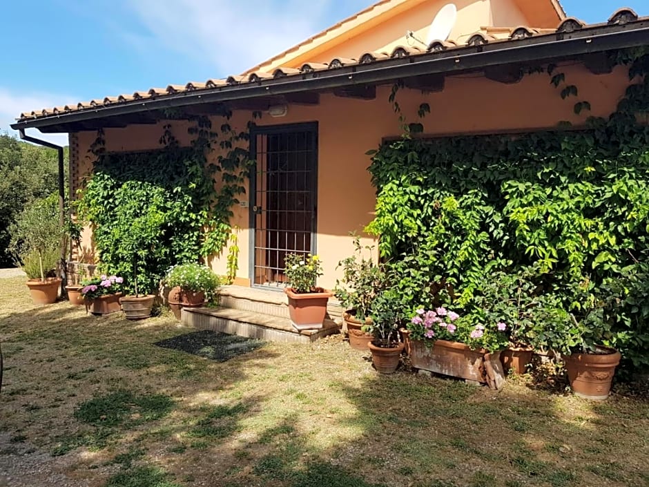 La dimora degli Etruschi