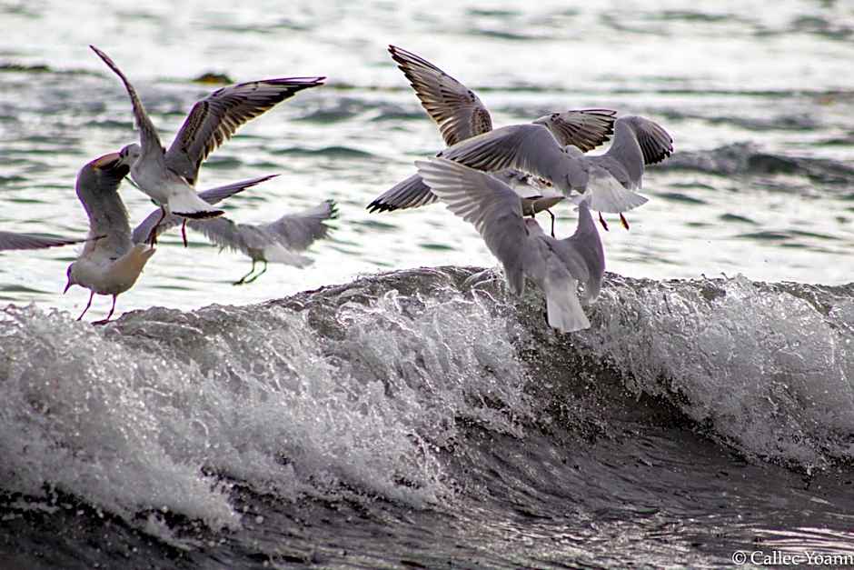 Hotel de la Gare Brest