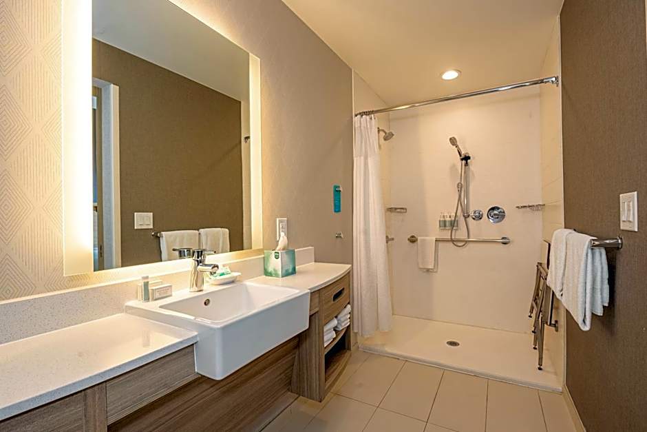 SpringHill Suites by Marriott Dallas McKinney/Allen