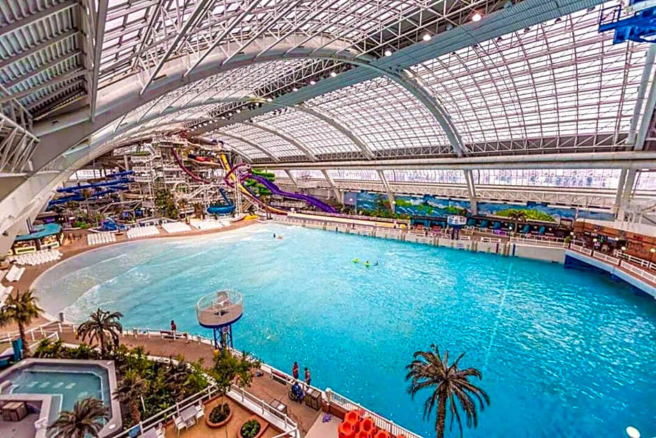 Tropical Oasis - King Beds - Free Netflix & Parking - Fast Wi-Fi