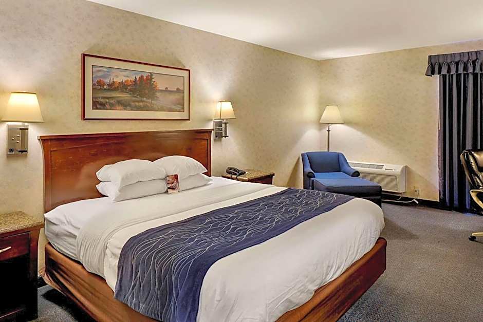 Comfort Inn Bellingham