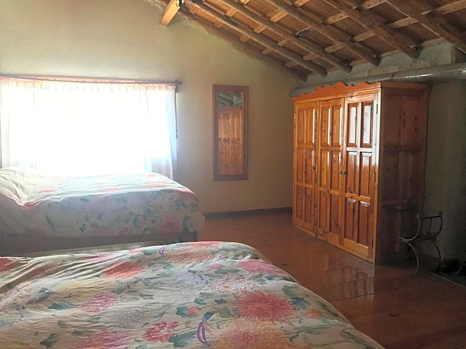 Cabañas 5 Pinos