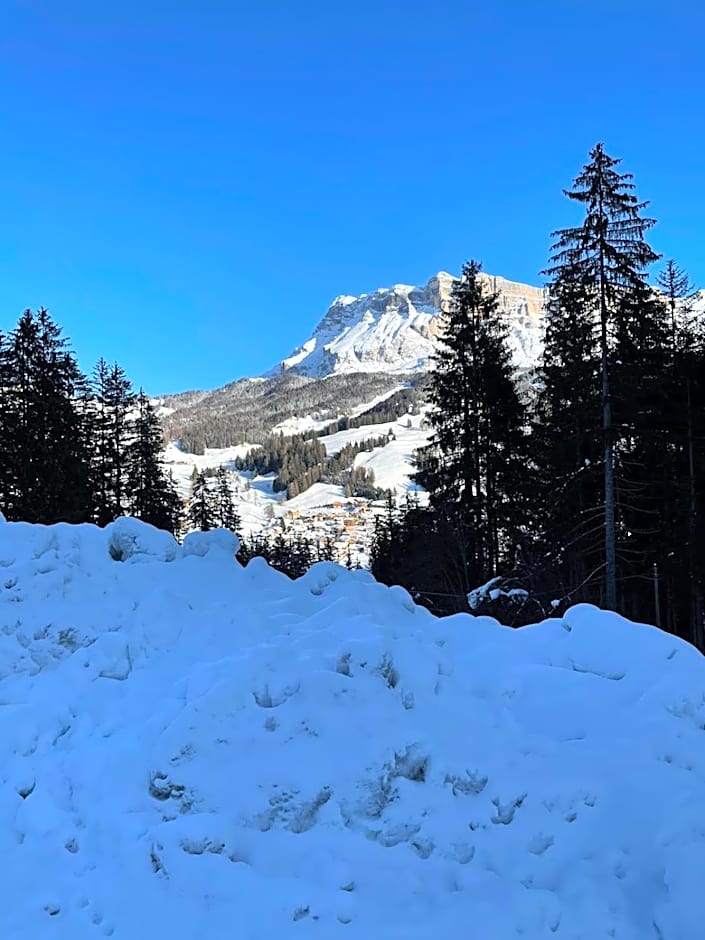 ALBERGO BAR RISTORANTE DOLOMIA