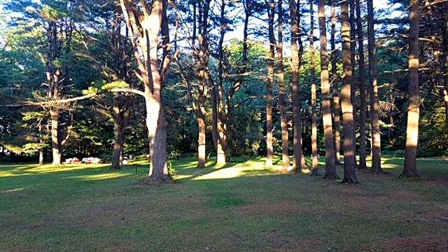 Catskill Motor Court