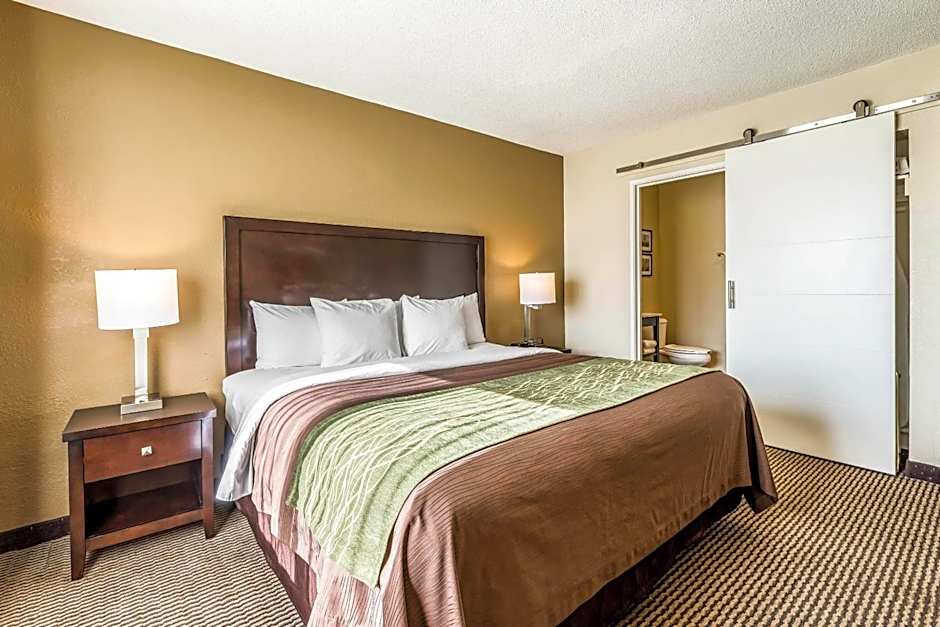 Comfort Inn Detroit Downtown