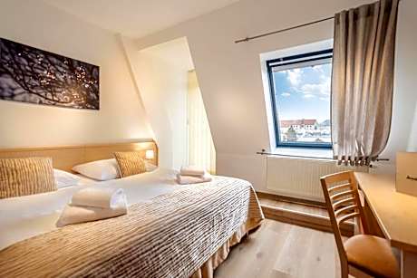 Standard Double or Twin Room with Wellness Access