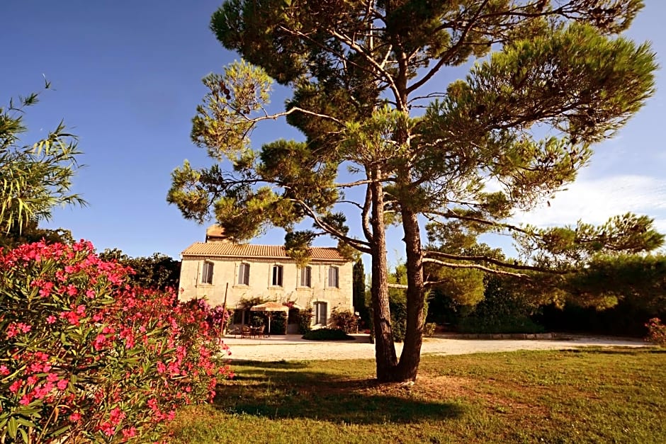 Maison Tara verte au Mas Montredon