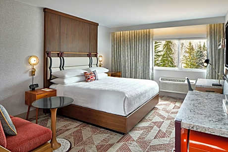 King Room with Roll-In Shower - Mobility Accessible