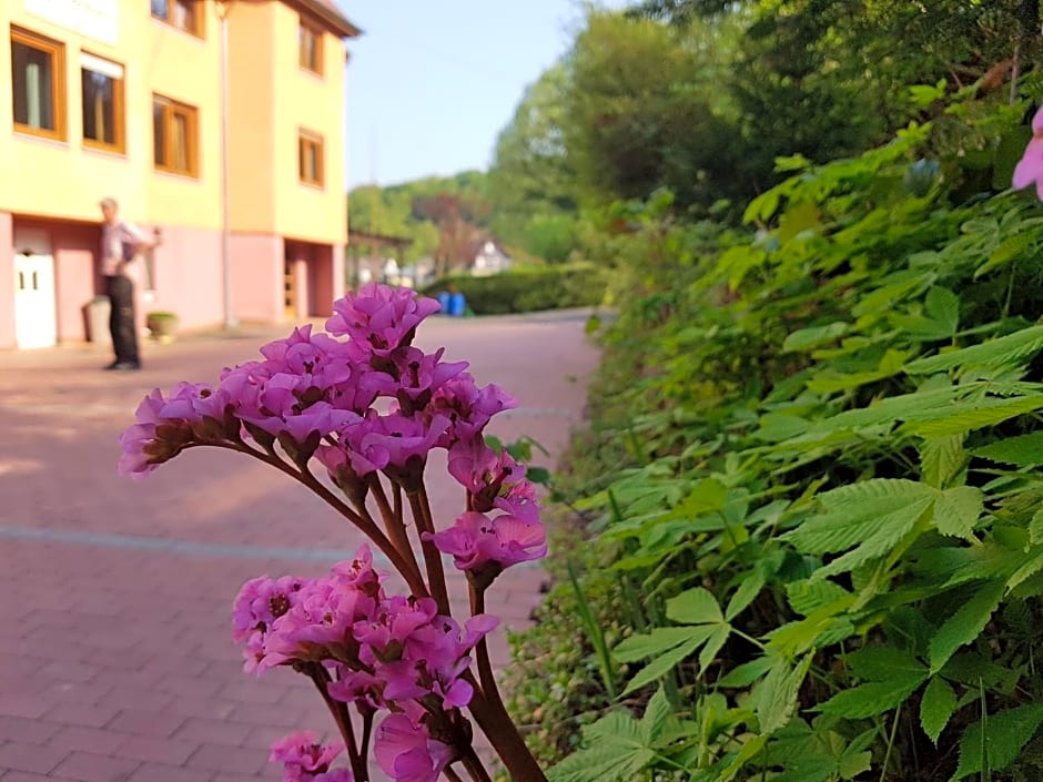 Hotel Zur Engelsburg