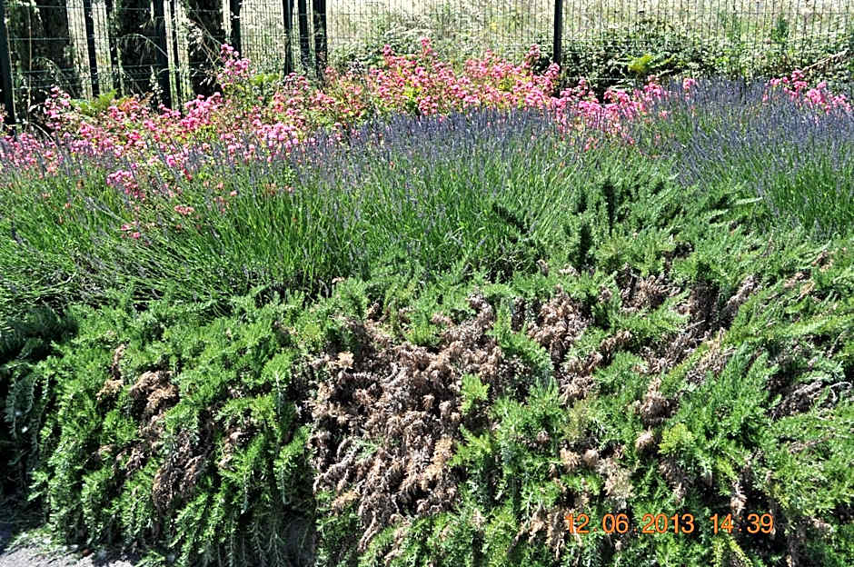 ibis budget Istres Trigance