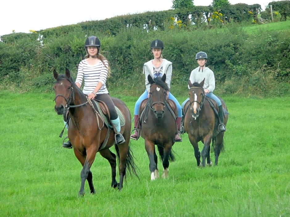 The Rock Equestrian Farm B&B