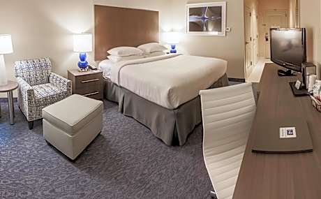 1 King Bed