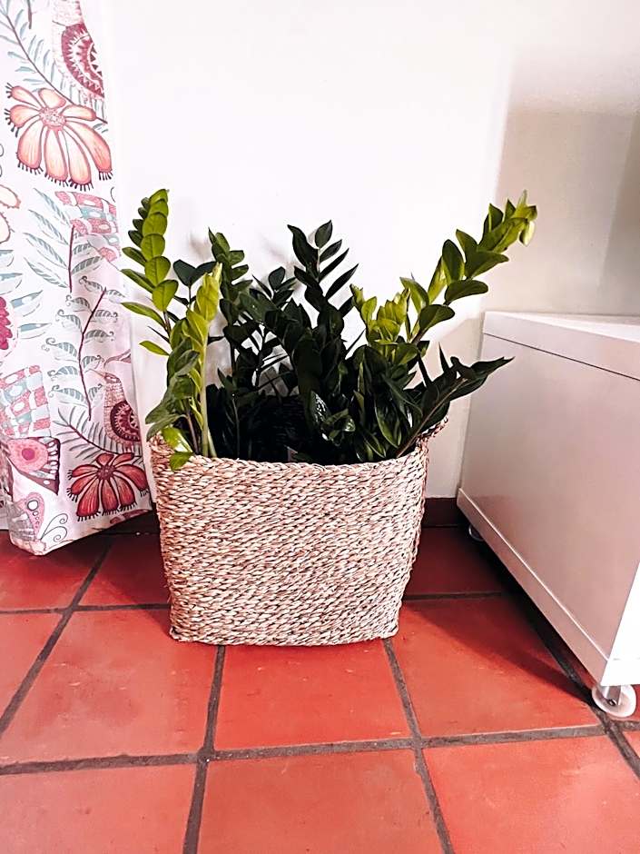 Apartamentos Quinta Mae dos Homens