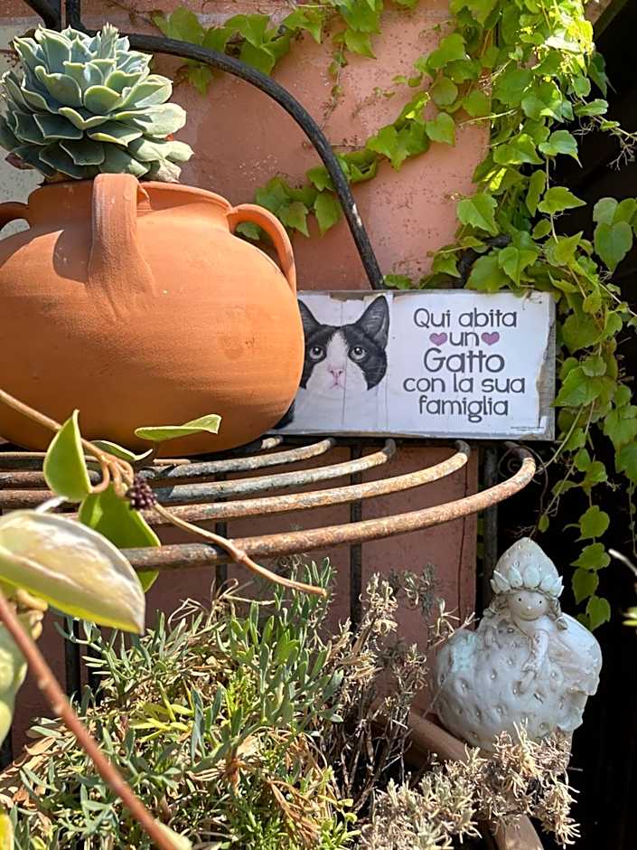 Hotel Villa Belvedere