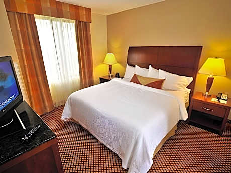 1 King Bed Whirlpool Suite