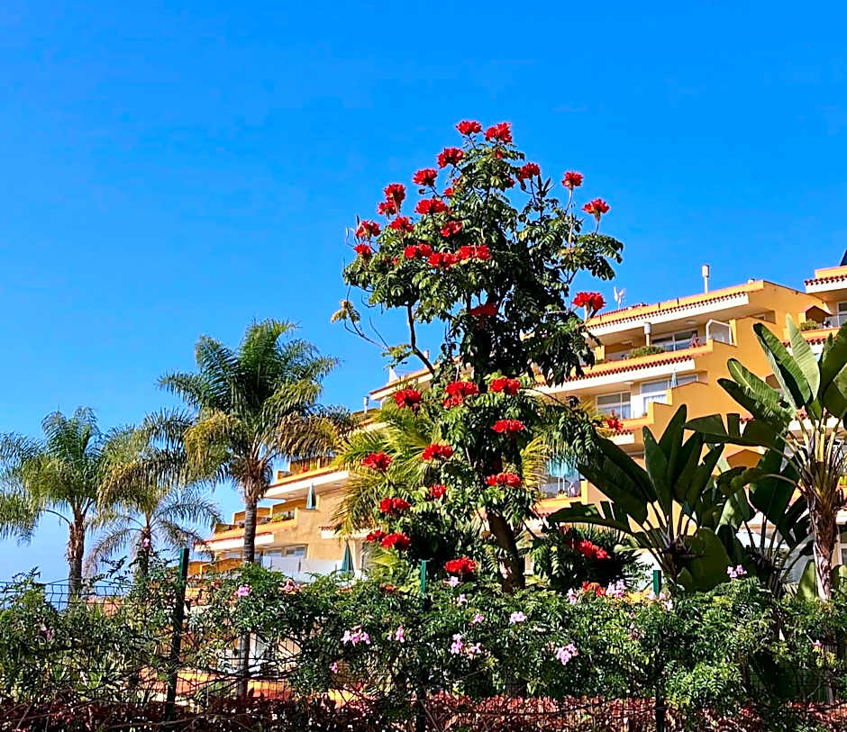 Apartamentos Tigaiga Suites