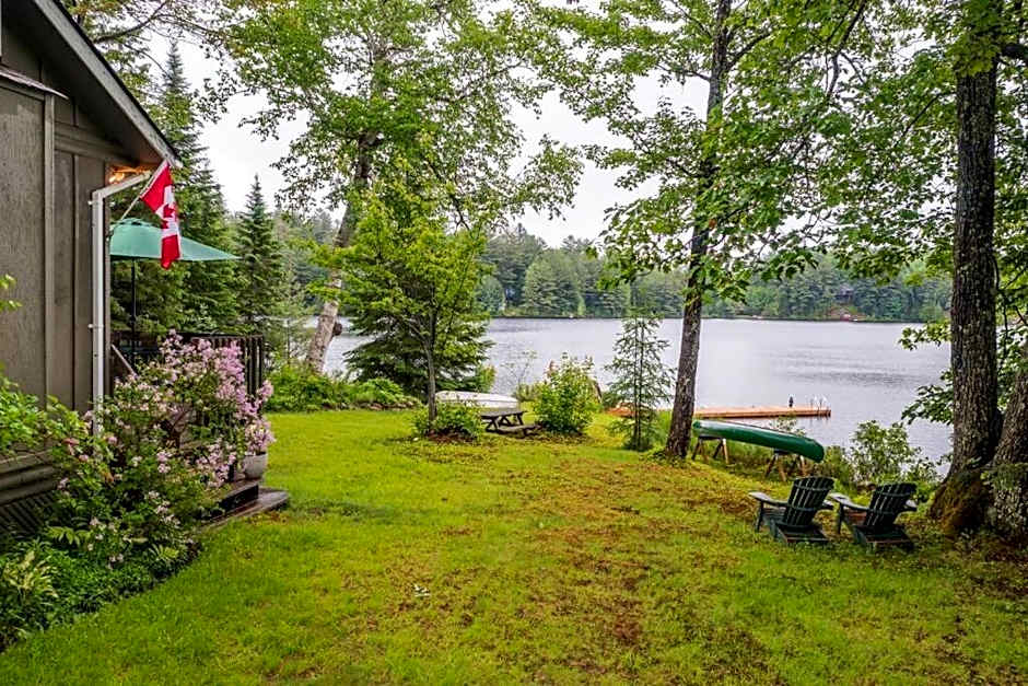 Bear Essentials Hideaway