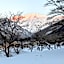 Tanigawa Valley Lodge & Coffee Roastery