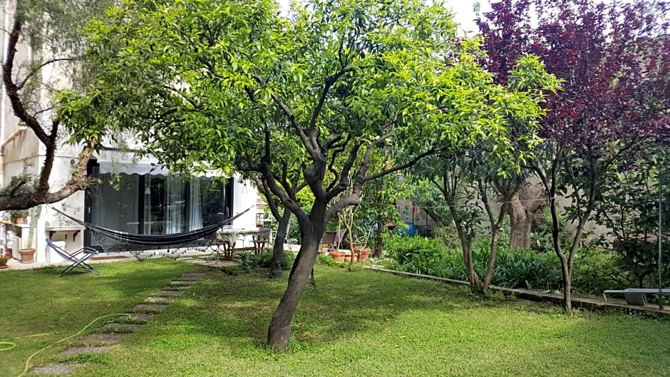 Nel Giardino degli Agrumi