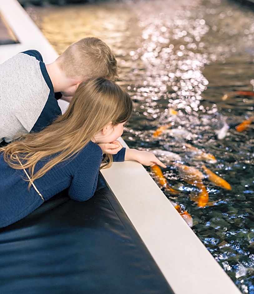 Hyatt Regency Toronto