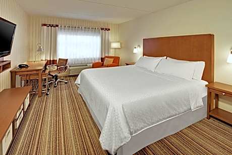 One-Bedroom King Suite with Sofa Bed