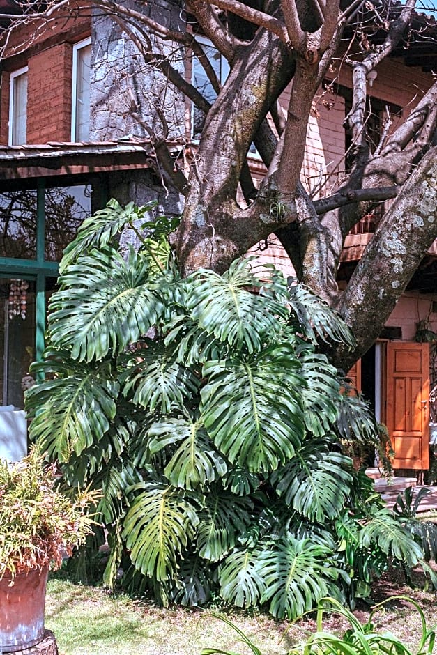Quinta Cielo - Hotel Boutique y Restaurante