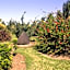Domaine des Oiseaux Réunion