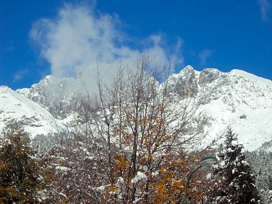 Hotel Des Alpes
