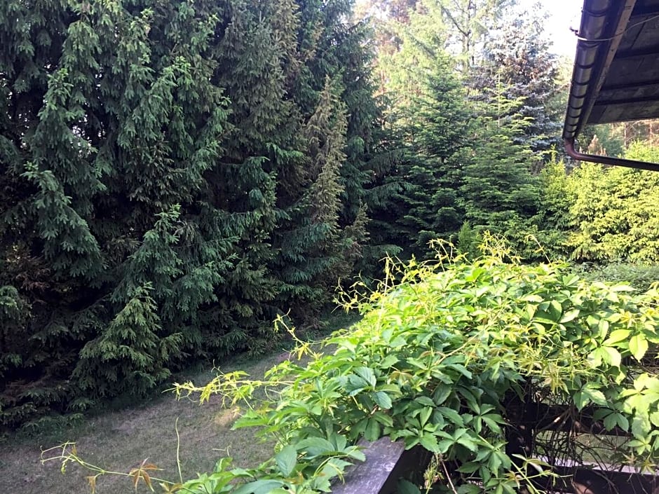 Dom letniskowy POŚRÓD KASZUBSKIEGO LASU