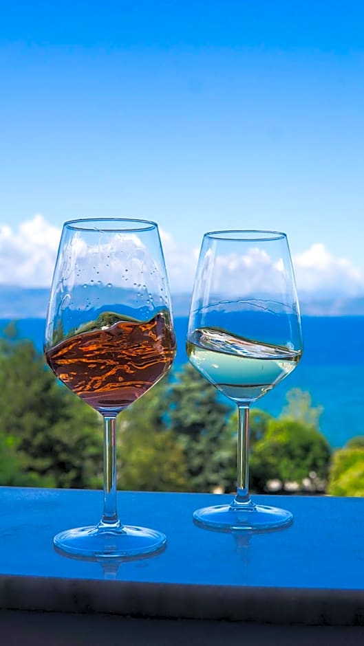 Hotel & Spa Tino Sveti Stefan