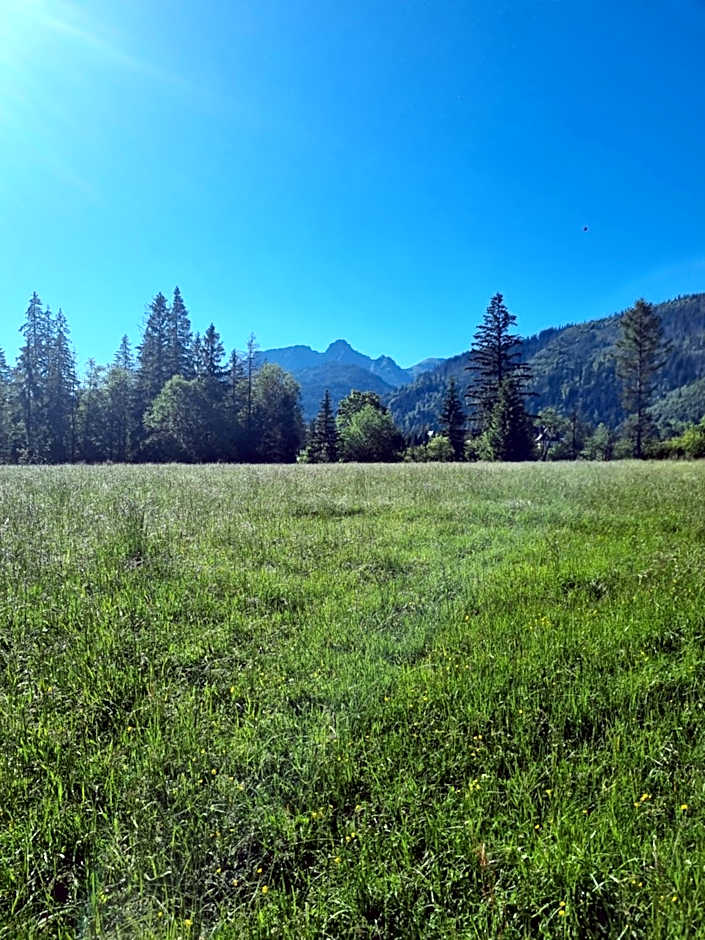 Zakątek Pod Smrekami