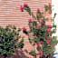 Marinetta Bed & Breakfast