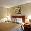 Quality Inn Troutville