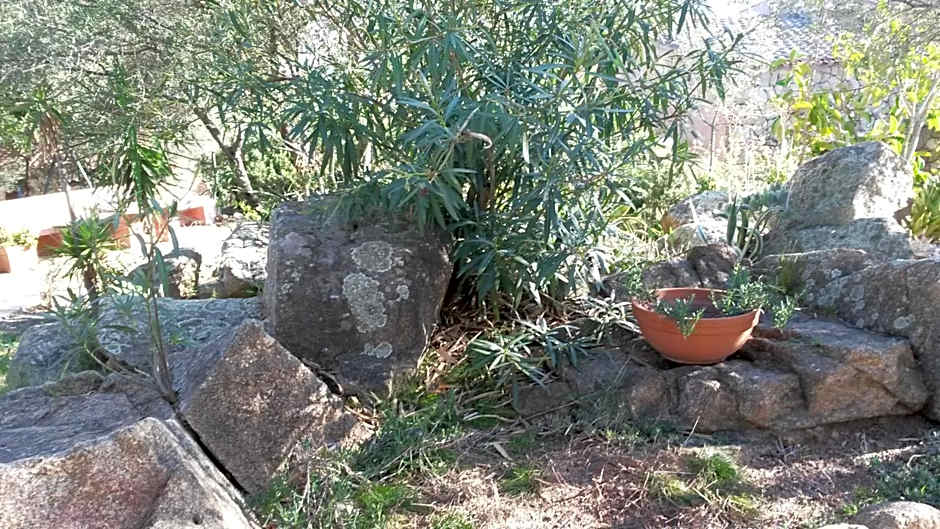 Hotel Turismo Rurale Montitundu